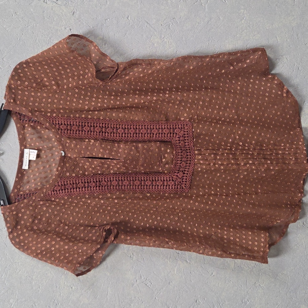 Meadow Rue Anthropologie Grassland Brown Sheer Top Medium - Picture 3 of 6
